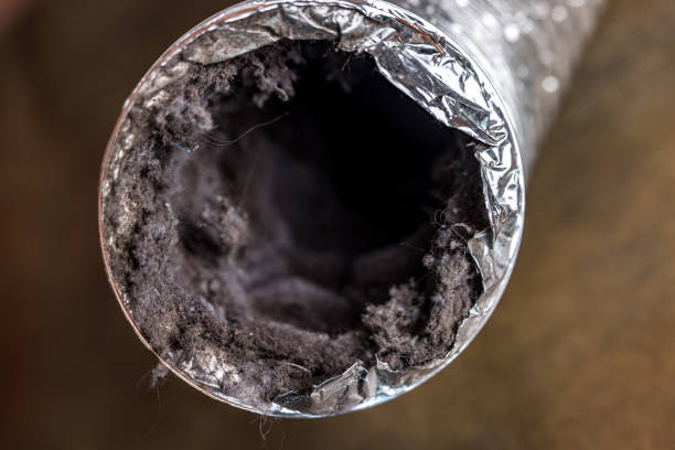 Best Commercial HVAC Duct Cleaning  in St Anne, IL