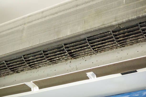 Best Ductwork Cleaning Services  in St Anne, IL